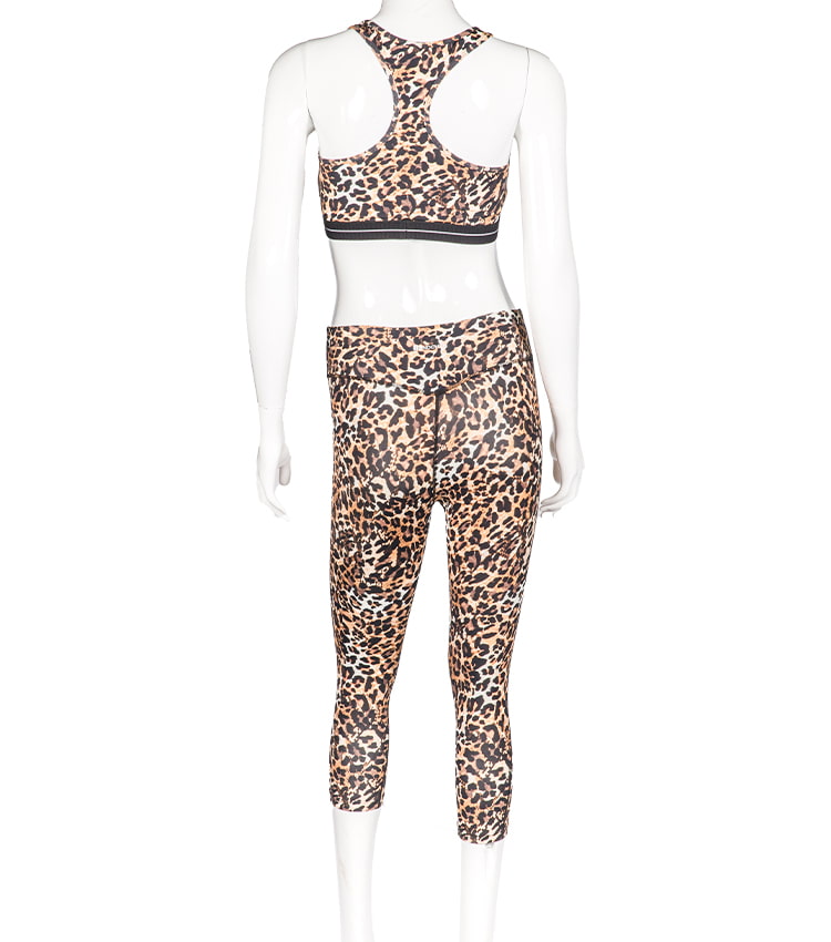 Conjunto de 2 piezas de cintura alta con estampado de leopardo para mujer, pantalones de entrenamiento, mallas de yoga, ropa deportiva para gimnasio